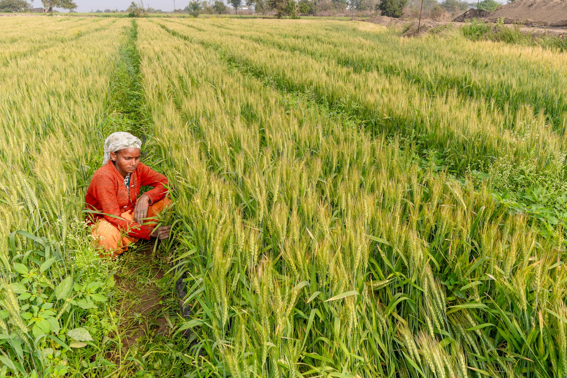 Kisan Credit Card (KCC) 2026: ₹3 Lakh Loan at 4% Interest — Apply Online