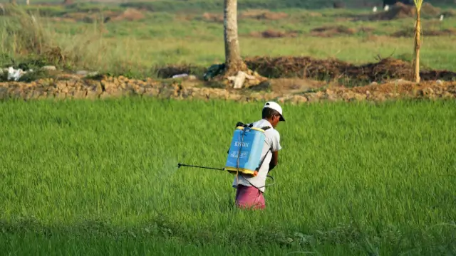 PM Kisan 23rd Installment Date 2026