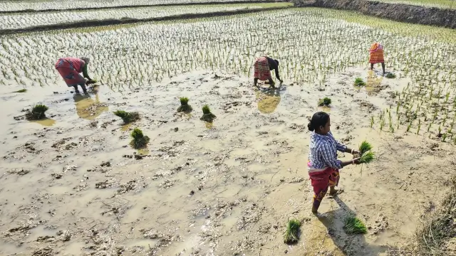Top 5 New Government Schemes 2026: BJP & West Bengal Welfare Guide