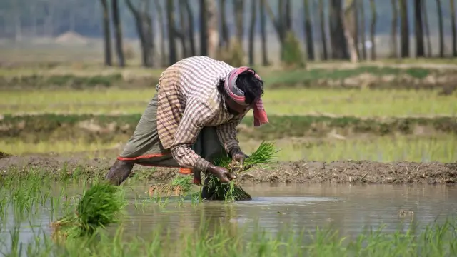 Seasonal Farm Workers: Khet Me Kaam Karte Ho Toh Apply Kar Sakte Ho?