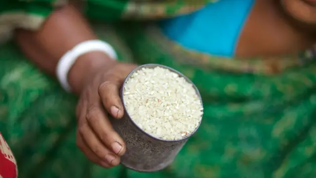Annapurna Bhandar Ration Card Linking 2026: Online Process, Error Codes, and Fix Guide