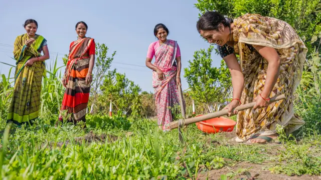 Ladki Bahin Yojana Payment Status Check 2026: Complete DBT Installment Guide