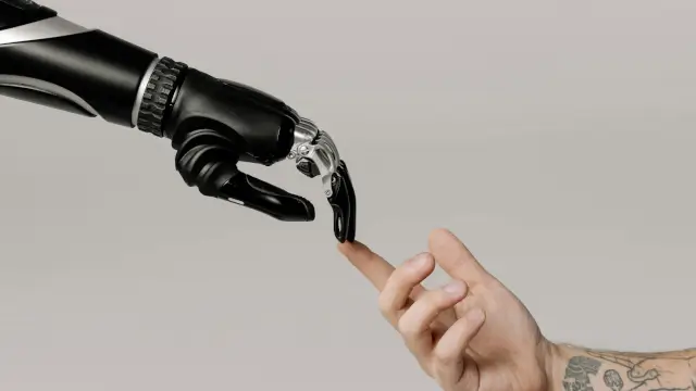 Meta Leaked Audio