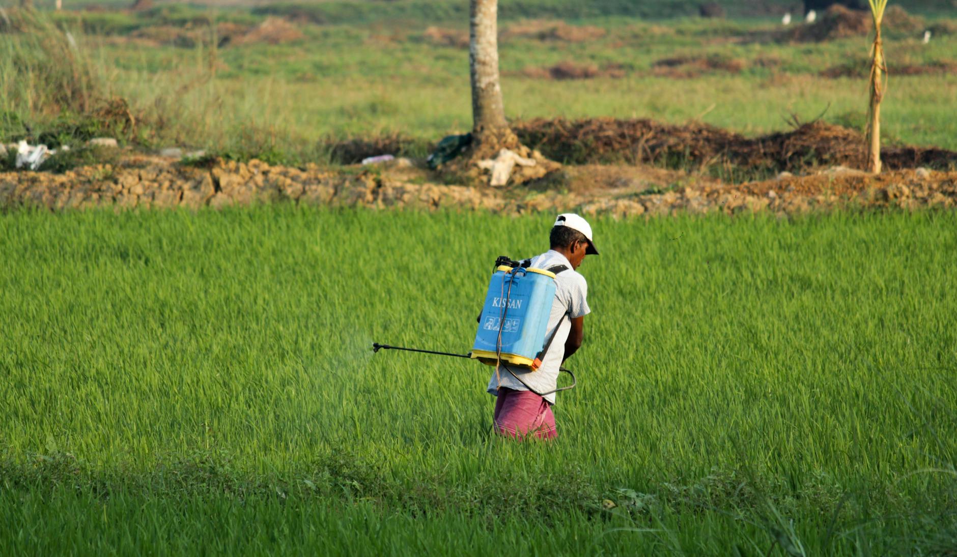PM Kisan 23rd Installment Date 2026