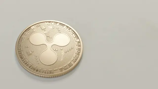 XRP ETF Inflows vs Bitcoin ETF Outflows: The Great Crypto Rotation of 2026